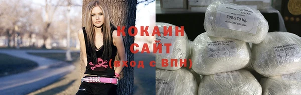 дживик Богородицк