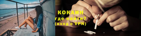 дживик Богородицк