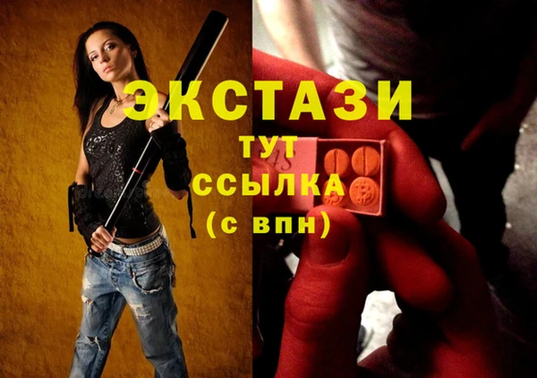 дживик Богородицк