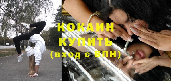 apvp Богданович