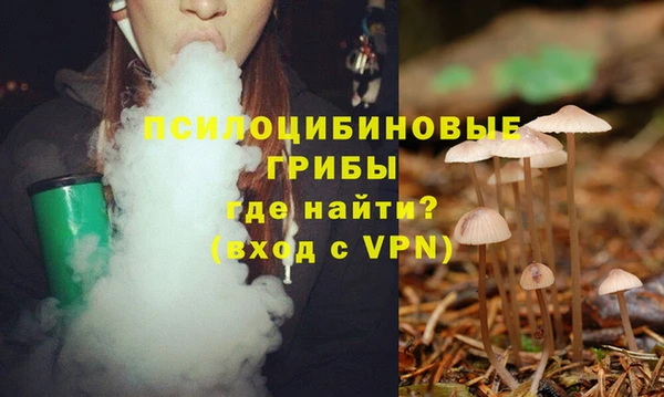 дживик Богородицк