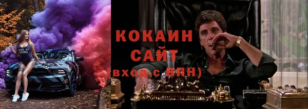 дживик Богородицк