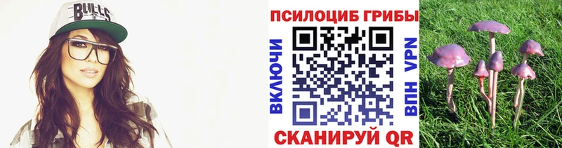 мориарти телеграм  Кондрово  Галлюциногенные грибы прущие грибы 