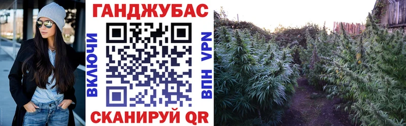 где купить наркотик  Кондрово  Каннабис Amnesia 